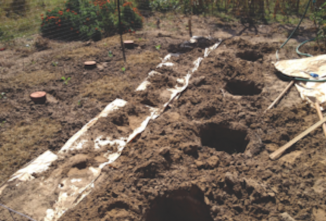 Water like the Ancients did … It Works!